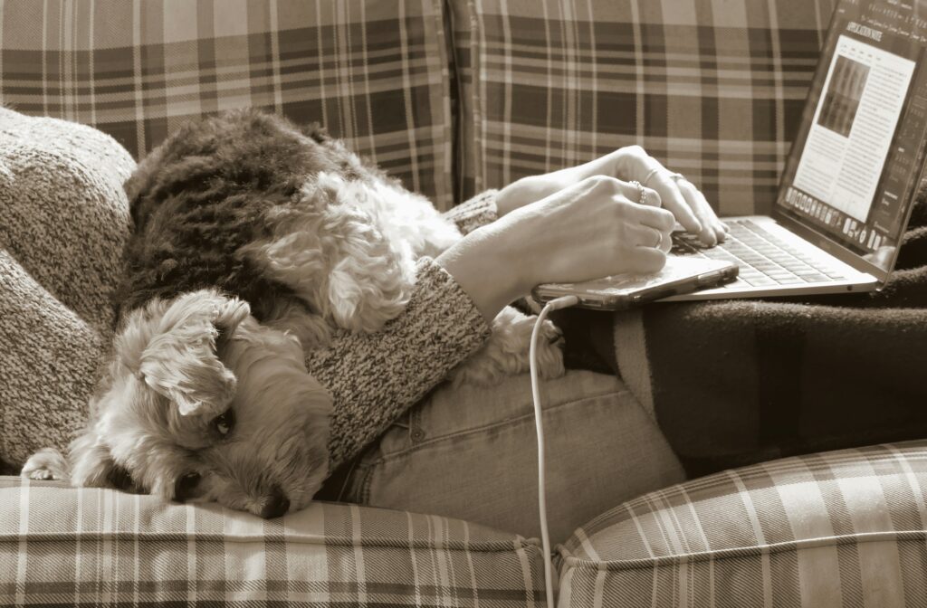 Verbindung, die trägt – Nähe zwischen Mensch und Hund Kleiner Hund liegt entspannt auf dem Schoß einer Person, die am Laptop arbeitet.